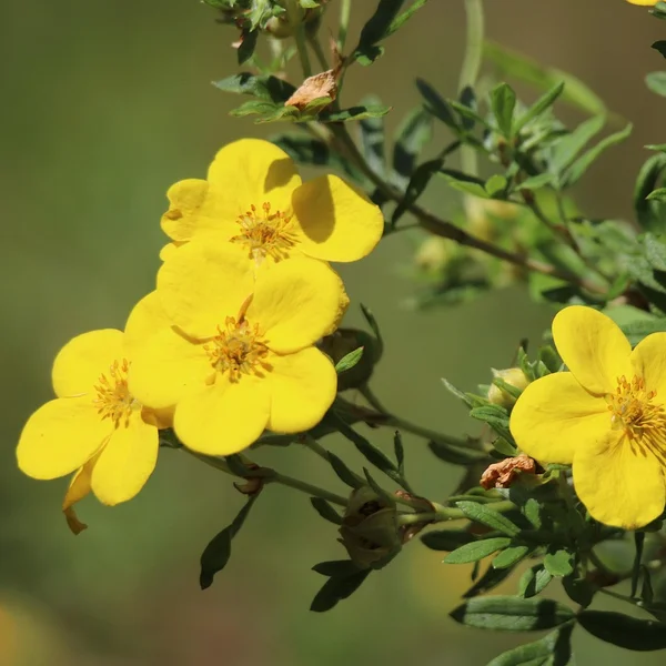 问鼎娱乐百家乐游戏